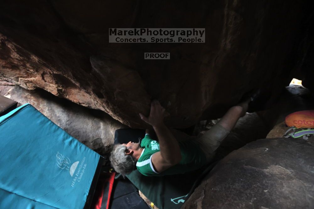 

Filename: SRM_20211204_1611420.jpg
Aperture: f/4.0
Shutter Speed: 1/250
Body: Canon EOS R6
Lens: Canon EF 16-35mm f/2.8 L