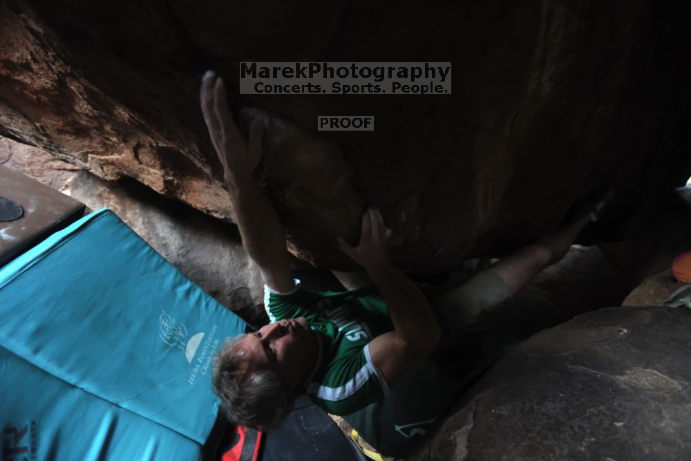 

Filename: SRM_20211204_1611440.jpg
Aperture: f/4.0
Shutter Speed: 1/250
Body: Canon EOS R6
Lens: Canon EF 16-35mm f/2.8 L