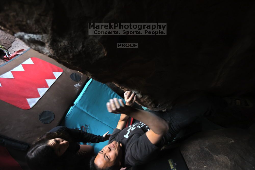 

Filename: SRM_20211204_1614460.jpg
Aperture: f/4.0
Shutter Speed: 1/250
Body: Canon EOS R6
Lens: Canon EF 16-35mm f/2.8 L