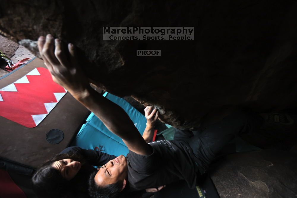 

Filename: SRM_20211204_1614471.jpg
Aperture: f/4.0
Shutter Speed: 1/250
Body: Canon EOS R6
Lens: Canon EF 16-35mm f/2.8 L