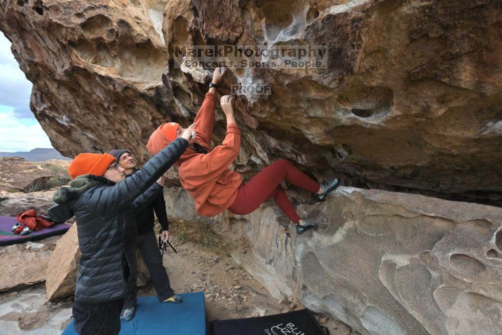 

Filename: SRM_20211210_1045510.jpg
Aperture: f/5.6
Shutter Speed: 1/500
Body: Canon EOS R6
Lens: Canon EF 16-35mm f/2.8 L