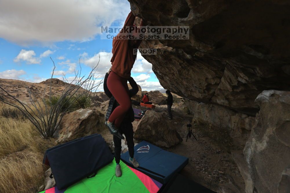 

Filename: SRM_20211210_1048191.jpg
Aperture: f/5.6
Shutter Speed: 1/500
Body: Canon EOS R6
Lens: Canon EF 16-35mm f/2.8 L