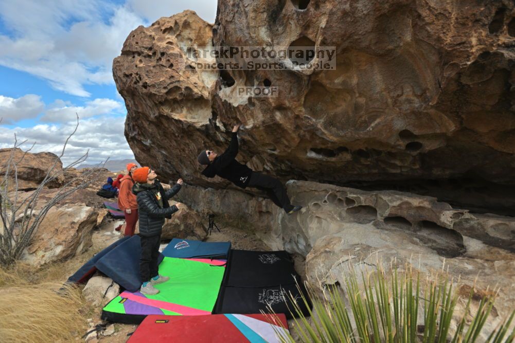 

Filename: SRM_20211210_1052390.jpg
Aperture: f/5.6
Shutter Speed: 1/500
Body: Canon EOS R6
Lens: Canon EF 16-35mm f/2.8 L