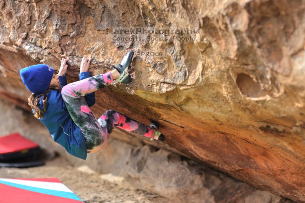 

Filename: SRM_20211210_1140450.jpg
Aperture: f/2.0
Shutter Speed: 1/8000
Body: Canon EOS R6
Lens: Canon EF 85mm f/1.2 L II