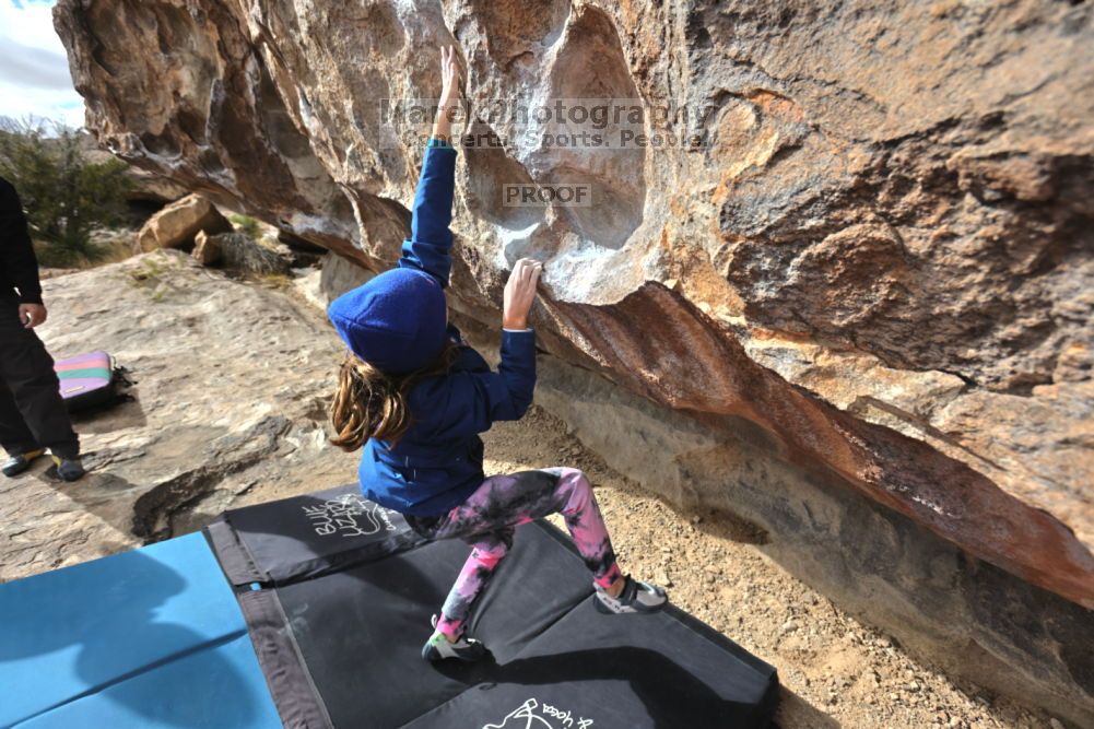 

Filename: SRM_20211210_1202260.jpg
Aperture: f/5.6
Shutter Speed: 1/1000
Body: Canon EOS R6
Lens: Canon EF 16-35mm f/2.8 L