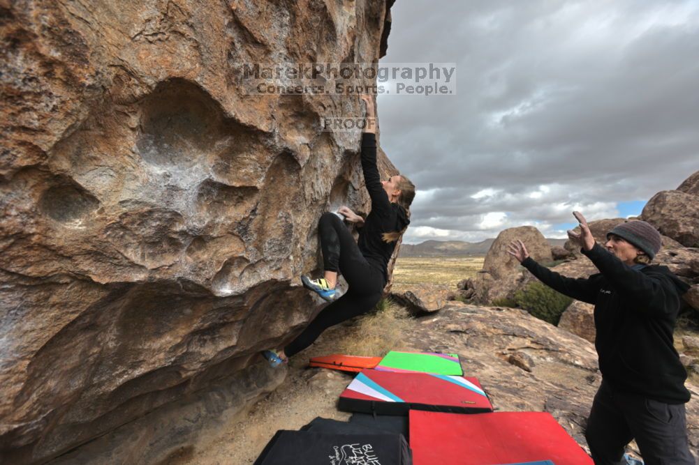 

Filename: SRM_20211210_1206210.jpg
Aperture: f/5.6
Shutter Speed: 1/1000
Body: Canon EOS R6
Lens: Canon EF 16-35mm f/2.8 L