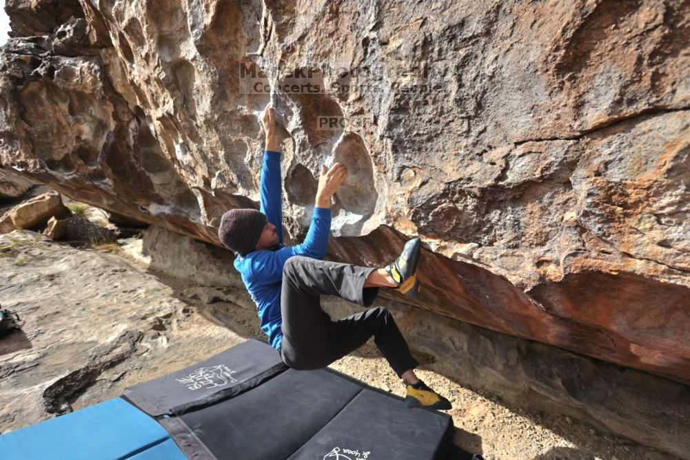 

Filename: SRM_20211210_1210230.jpg
Aperture: f/5.6
Shutter Speed: 1/1000
Body: Canon EOS R6
Lens: Canon EF 16-35mm f/2.8 L