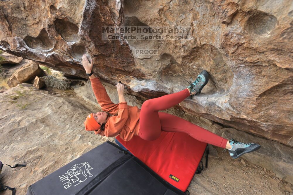 

Filename: SRM_20211210_1217430.jpg
Aperture: f/5.6
Shutter Speed: 1/500
Body: Canon EOS R6
Lens: Canon EF 16-35mm f/2.8 L