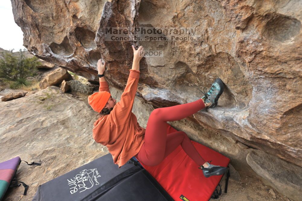 

Filename: SRM_20211210_1217450.jpg
Aperture: f/5.6
Shutter Speed: 1/500
Body: Canon EOS R6
Lens: Canon EF 16-35mm f/2.8 L