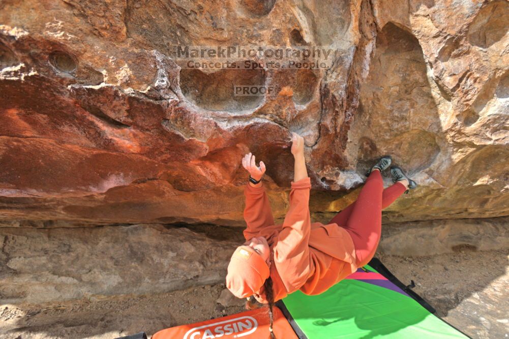 

Filename: SRM_20211210_1230150.jpg
Aperture: f/5.6
Shutter Speed: 1/500
Body: Canon EOS R6
Lens: Canon EF 16-35mm f/2.8 L