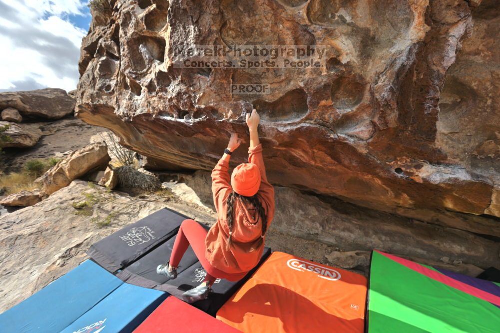 

Filename: SRM_20211210_1230320.jpg
Aperture: f/5.6
Shutter Speed: 1/500
Body: Canon EOS R6
Lens: Canon EF 16-35mm f/2.8 L