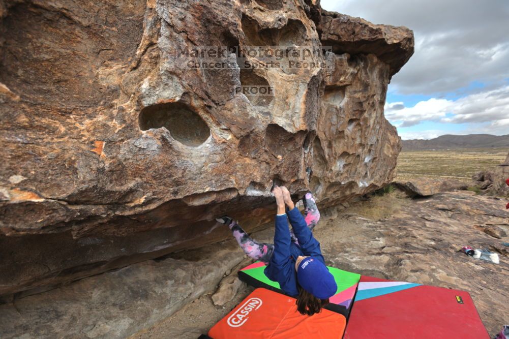 

Filename: SRM_20211210_1232190.jpg
Aperture: f/5.6
Shutter Speed: 1/500
Body: Canon EOS R6
Lens: Canon EF 16-35mm f/2.8 L