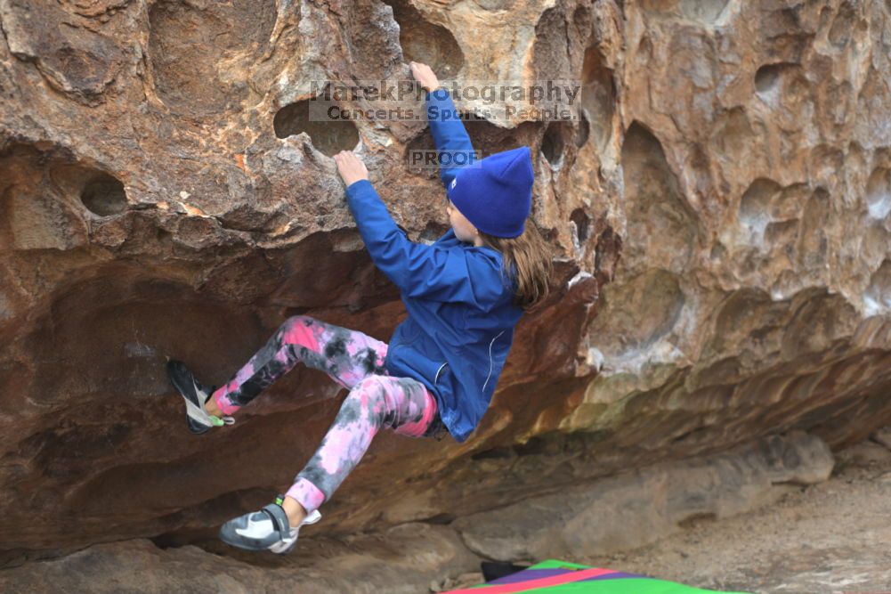 

Filename: SRM_20211210_1238421.jpg
Aperture: f/4.0
Shutter Speed: 1/500
Body: Canon EOS R6
Lens: Canon EF 50mm f/1.8 II