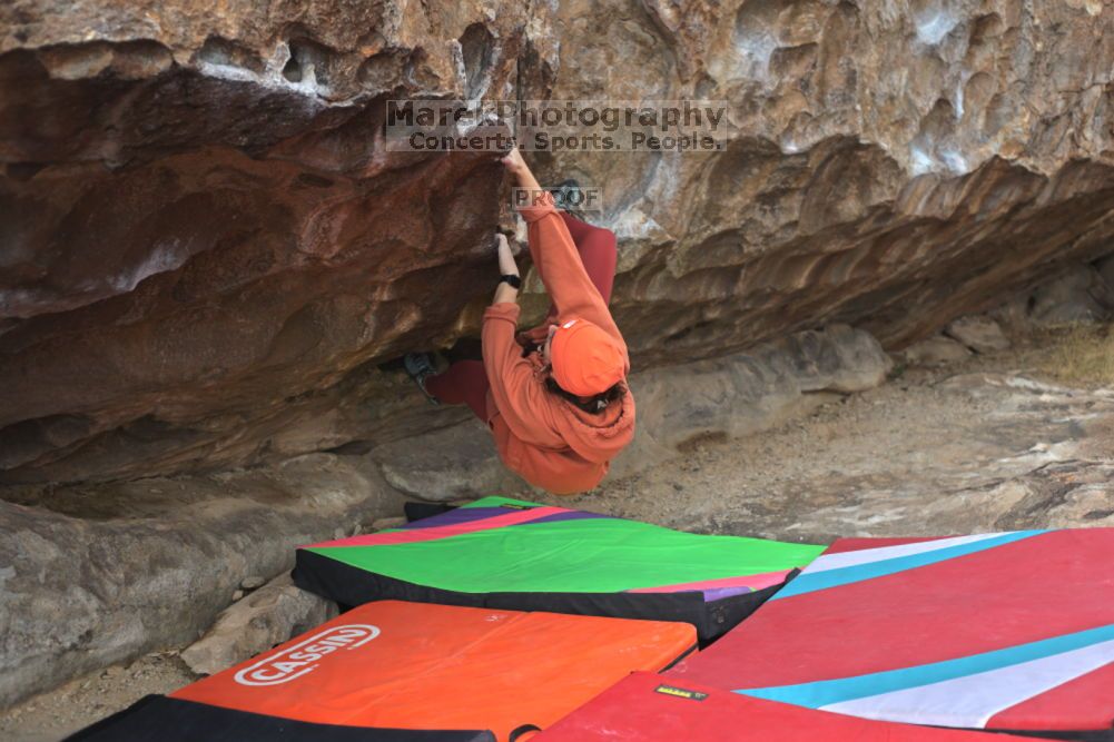 

Filename: SRM_20211210_1241570.jpg
Aperture: f/4.0
Shutter Speed: 1/500
Body: Canon EOS R6
Lens: Canon EF 50mm f/1.8 II