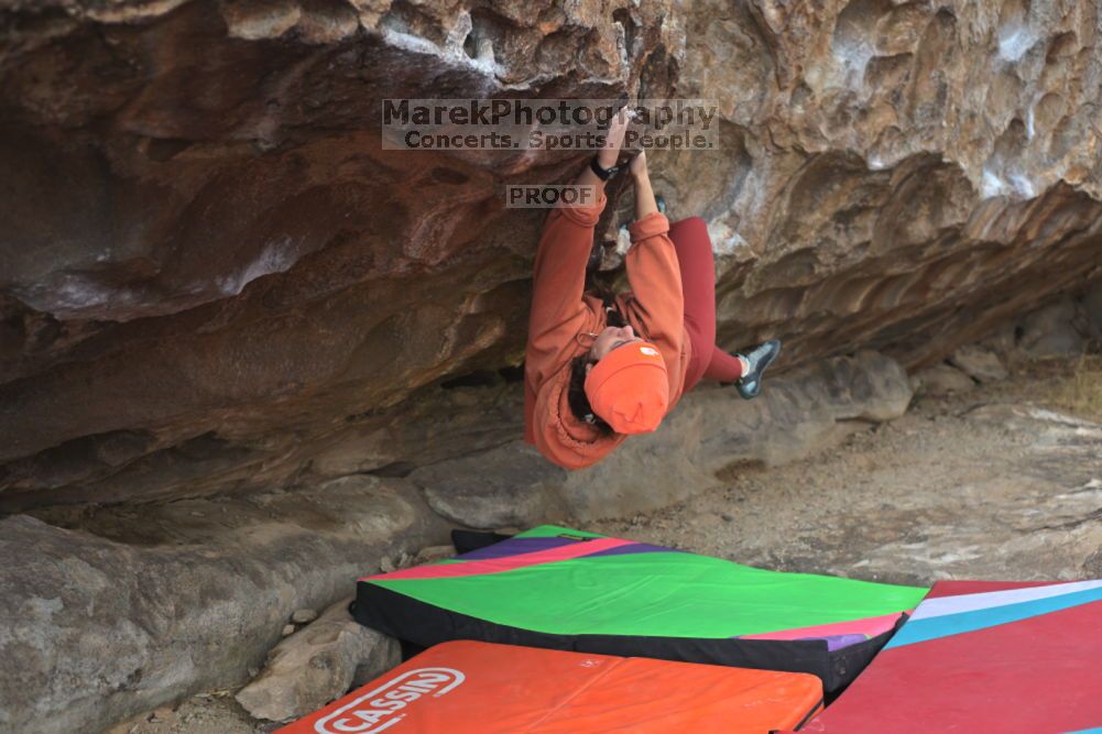 

Filename: SRM_20211210_1241590.jpg
Aperture: f/4.0
Shutter Speed: 1/500
Body: Canon EOS R6
Lens: Canon EF 50mm f/1.8 II