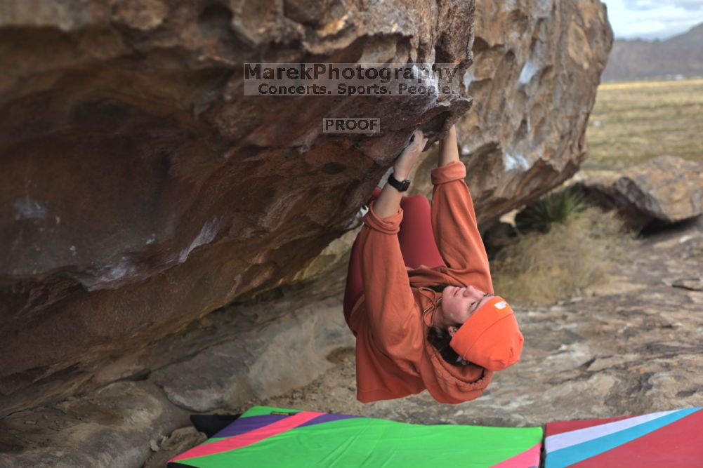 

Filename: SRM_20211210_1242141.jpg
Aperture: f/4.0
Shutter Speed: 1/500
Body: Canon EOS R6
Lens: Canon EF 50mm f/1.8 II