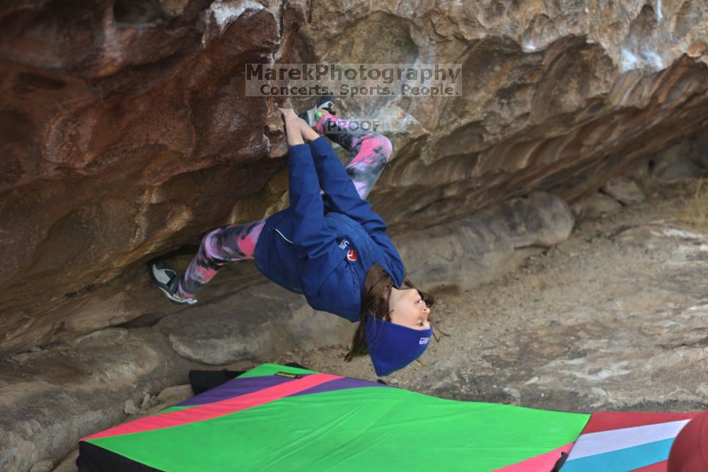 

Filename: SRM_20211210_1242440.jpg
Aperture: f/4.0
Shutter Speed: 1/500
Body: Canon EOS R6
Lens: Canon EF 50mm f/1.8 II