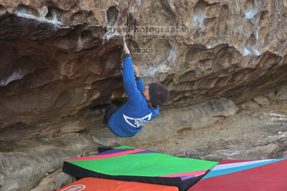 

Filename: SRM_20211210_1245270.jpg
Aperture: f/4.0
Shutter Speed: 1/500
Body: Canon EOS R6
Lens: Canon EF 50mm f/1.8 II