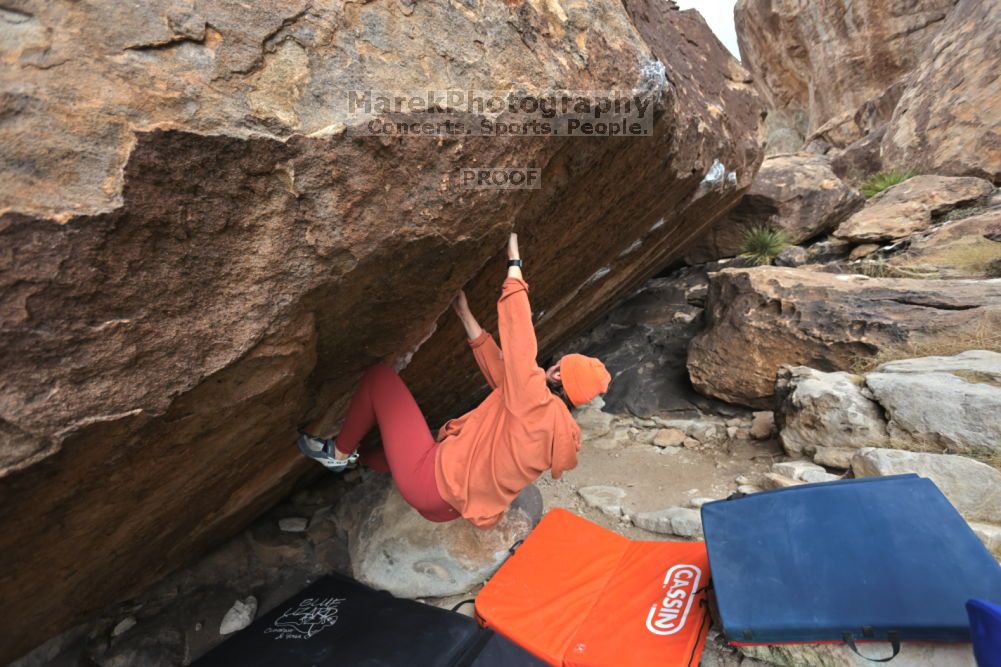 

Filename: SRM_20211210_1320260.jpg
Aperture: f/4.0
Shutter Speed: 1/500
Body: Canon EOS R6
Lens: Canon EF 16-35mm f/2.8 L