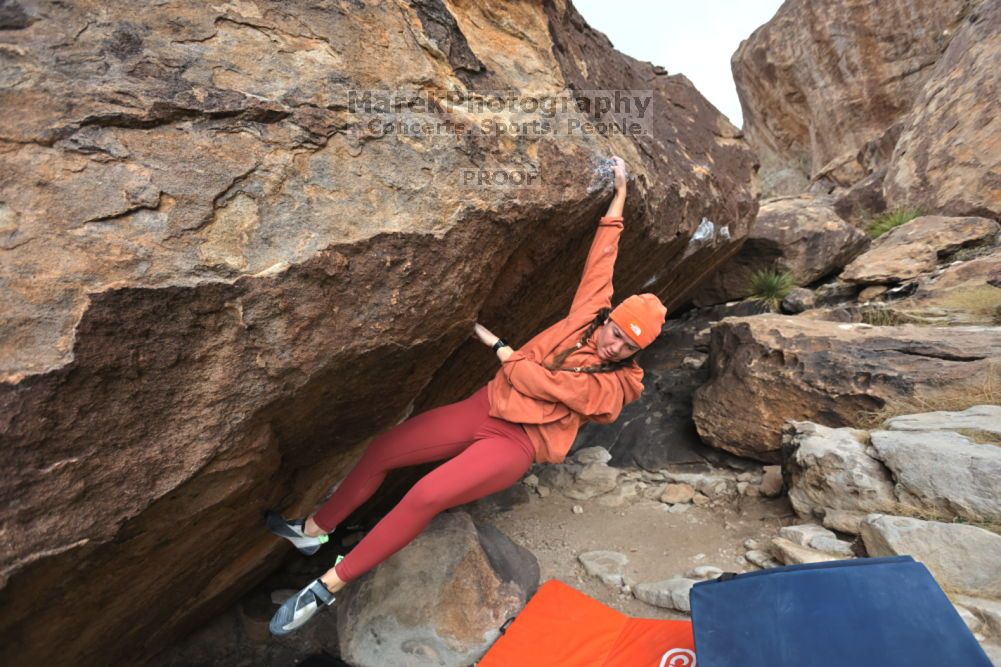 

Filename: SRM_20211210_1320342.jpg
Aperture: f/4.0
Shutter Speed: 1/500
Body: Canon EOS R6
Lens: Canon EF 16-35mm f/2.8 L