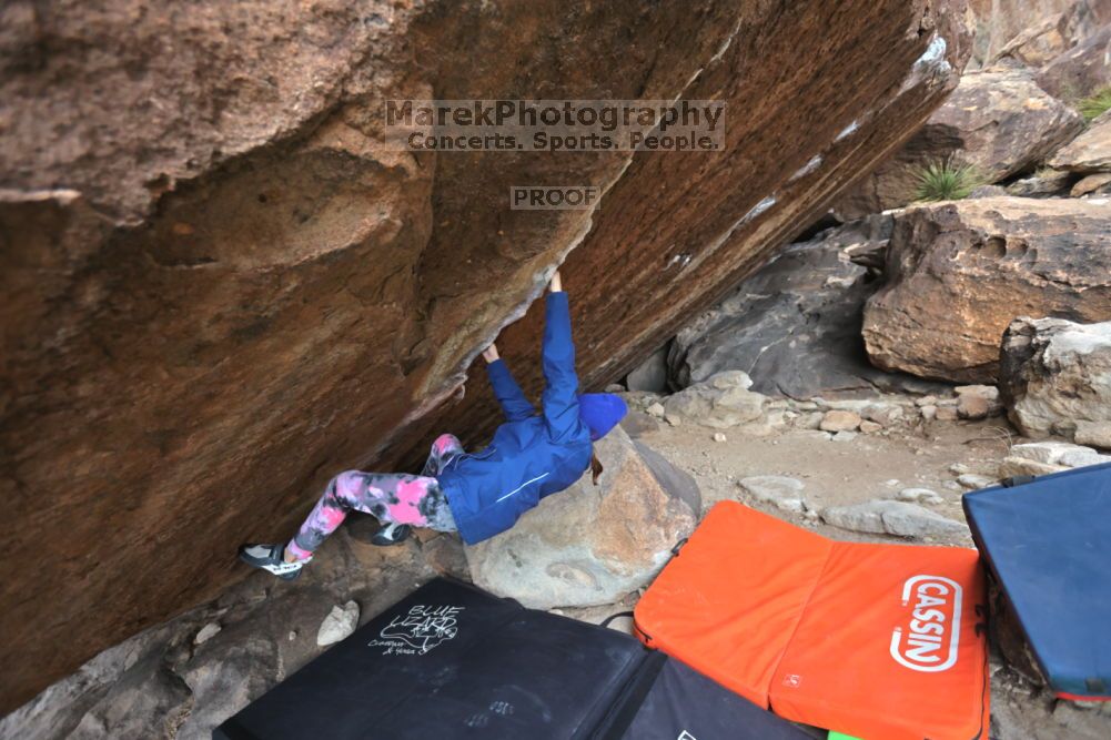 

Filename: SRM_20211210_1321250.jpg
Aperture: f/4.0
Shutter Speed: 1/500
Body: Canon EOS R6
Lens: Canon EF 16-35mm f/2.8 L