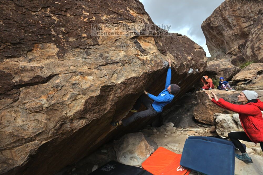 

Filename: SRM_20211210_1327460.jpg
Aperture: f/5.6
Shutter Speed: 1/500
Body: Canon EOS R6
Lens: Canon EF 16-35mm f/2.8 L