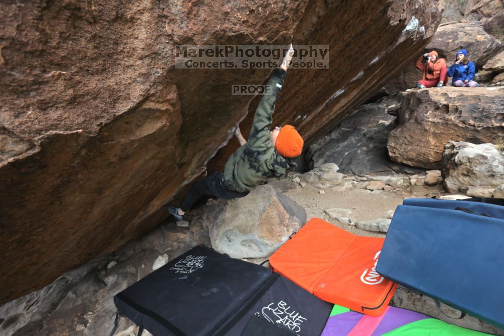 

Filename: SRM_20211210_1328500.jpg
Aperture: f/5.6
Shutter Speed: 1/500
Body: Canon EOS R6
Lens: Canon EF 16-35mm f/2.8 L