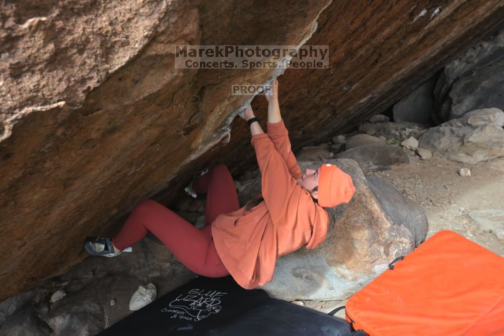 

Filename: SRM_20211210_1332470.jpg
Aperture: f/5.6
Shutter Speed: 1/500
Body: Canon EOS R6
Lens: Canon EF 16-35mm f/2.8 L