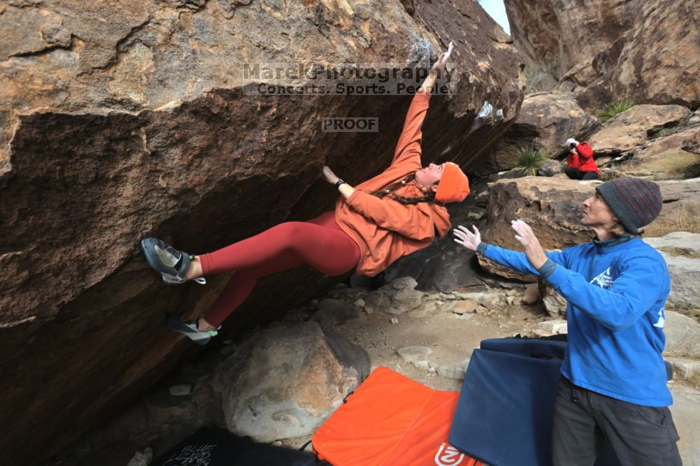 

Filename: SRM_20211210_1333020.jpg
Aperture: f/5.6
Shutter Speed: 1/500
Body: Canon EOS R6
Lens: Canon EF 16-35mm f/2.8 L