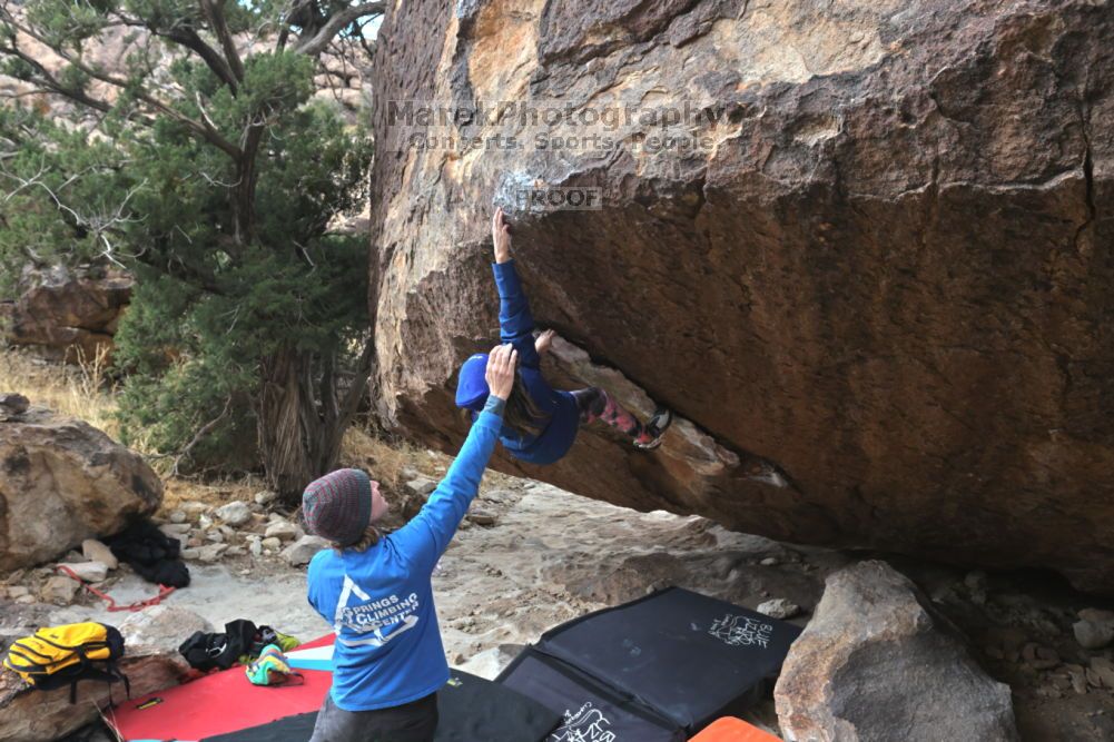 

Filename: SRM_20211210_1334280.jpg
Aperture: f/5.6
Shutter Speed: 1/500
Body: Canon EOS R6
Lens: Canon EF 16-35mm f/2.8 L