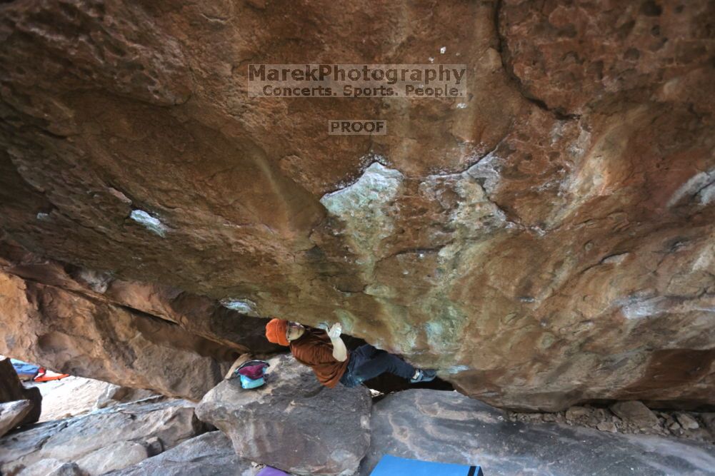 

Filename: SRM_20211210_1411020.jpg
Aperture: f/4.0
Shutter Speed: 1/500
Body: Canon EOS R6
Lens: Canon EF 16-35mm f/2.8 L