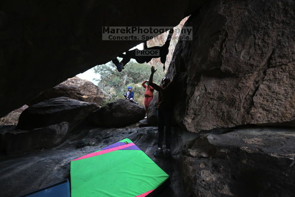 

Filename: SRM_20211210_1413170.jpg
Aperture: f/4.0
Shutter Speed: 1/500
Body: Canon EOS R6
Lens: Canon EF 16-35mm f/2.8 L