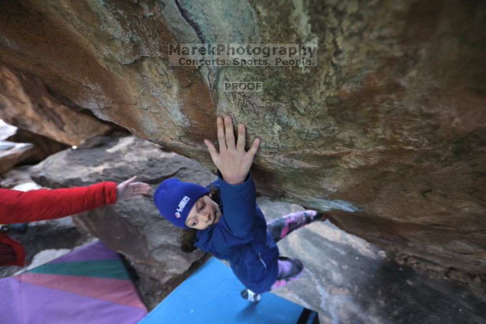 

Filename: SRM_20211210_1418321.jpg
Aperture: f/4.0
Shutter Speed: 1/500
Body: Canon EOS R6
Lens: Canon EF 16-35mm f/2.8 L