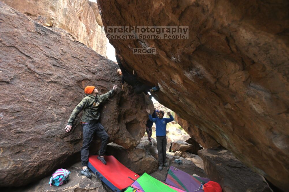 

Filename: SRM_20211210_1420180.jpg
Aperture: f/4.0
Shutter Speed: 1/500
Body: Canon EOS R6
Lens: Canon EF 16-35mm f/2.8 L