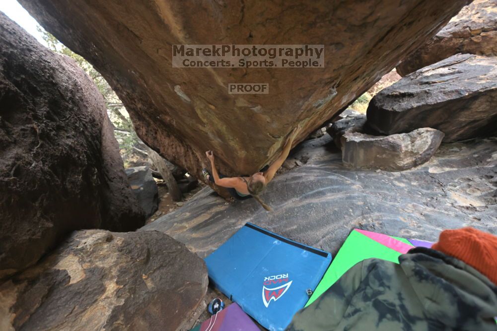 

Filename: SRM_20211210_1425120.jpg
Aperture: f/4.5
Shutter Speed: 1/500
Body: Canon EOS R6
Lens: Canon EF 16-35mm f/2.8 L