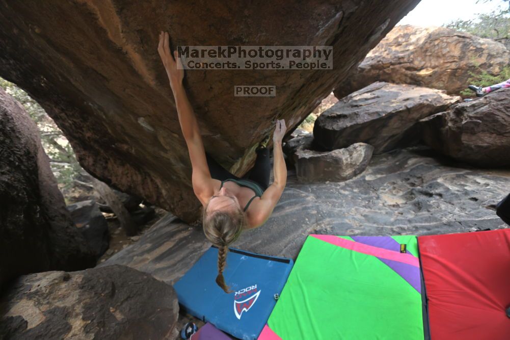 

Filename: SRM_20211210_1425310.jpg
Aperture: f/4.5
Shutter Speed: 1/500
Body: Canon EOS R6
Lens: Canon EF 16-35mm f/2.8 L