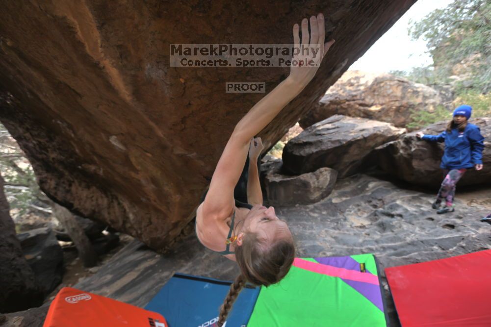 

Filename: SRM_20211210_1436220.jpg
Aperture: f/4.5
Shutter Speed: 1/500
Body: Canon EOS R6
Lens: Canon EF 16-35mm f/2.8 L