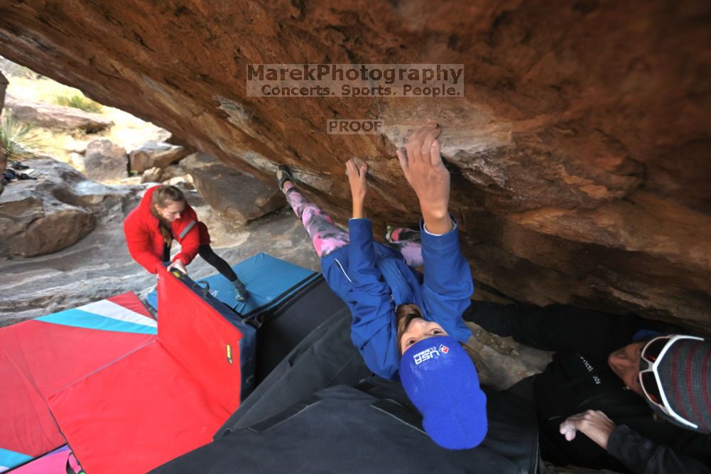 

Filename: SRM_20211210_1447492.jpg
Aperture: f/4.5
Shutter Speed: 1/500
Body: Canon EOS R6
Lens: Canon EF 16-35mm f/2.8 L