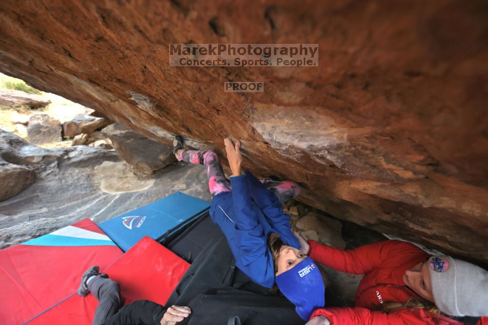 

Filename: SRM_20211210_1501320.jpg
Aperture: f/4.0
Shutter Speed: 1/500
Body: Canon EOS R6
Lens: Canon EF 16-35mm f/2.8 L