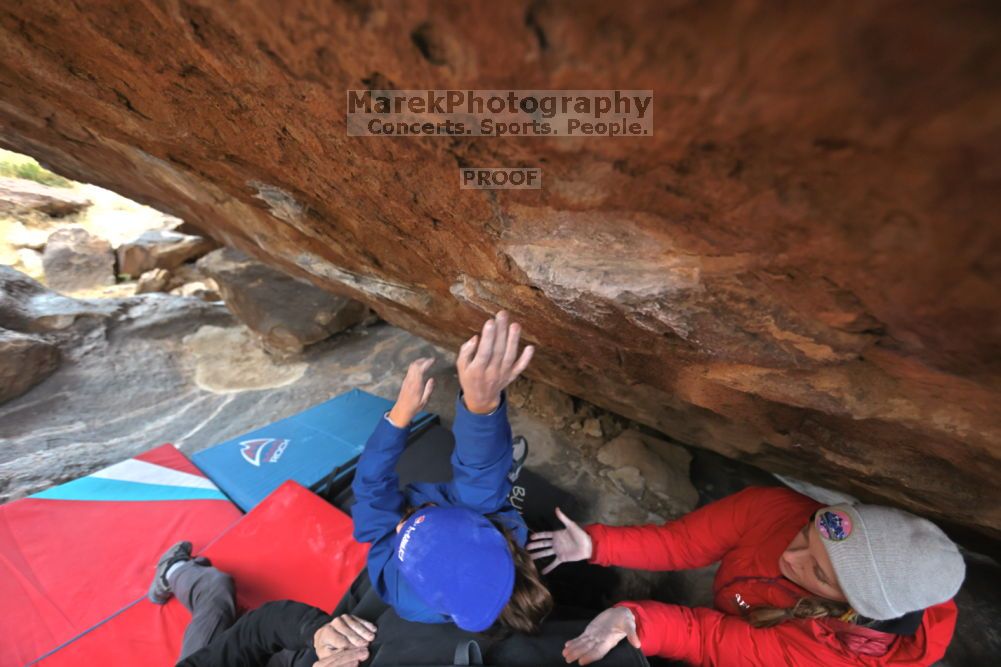 

Filename: SRM_20211210_1501330.jpg
Aperture: f/4.0
Shutter Speed: 1/500
Body: Canon EOS R6
Lens: Canon EF 16-35mm f/2.8 L