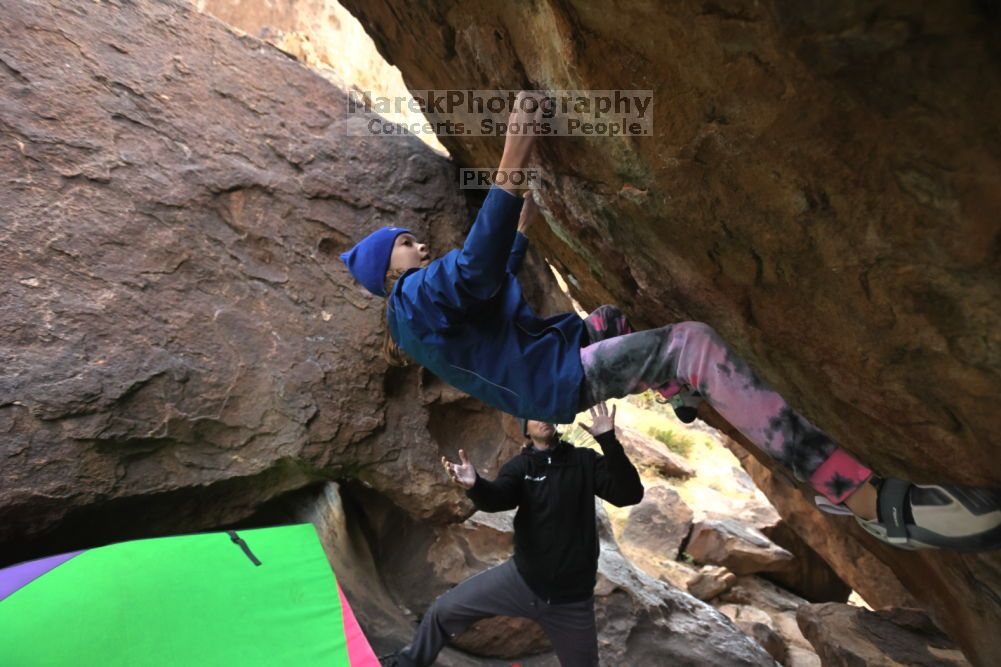 

Filename: SRM_20211210_1530290.jpg
Aperture: f/4.0
Shutter Speed: 1/500
Body: Canon EOS R6
Lens: Canon EF 16-35mm f/2.8 L