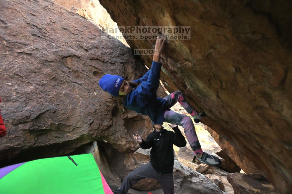 

Filename: SRM_20211210_1530300.jpg
Aperture: f/4.0
Shutter Speed: 1/500
Body: Canon EOS R6
Lens: Canon EF 16-35mm f/2.8 L