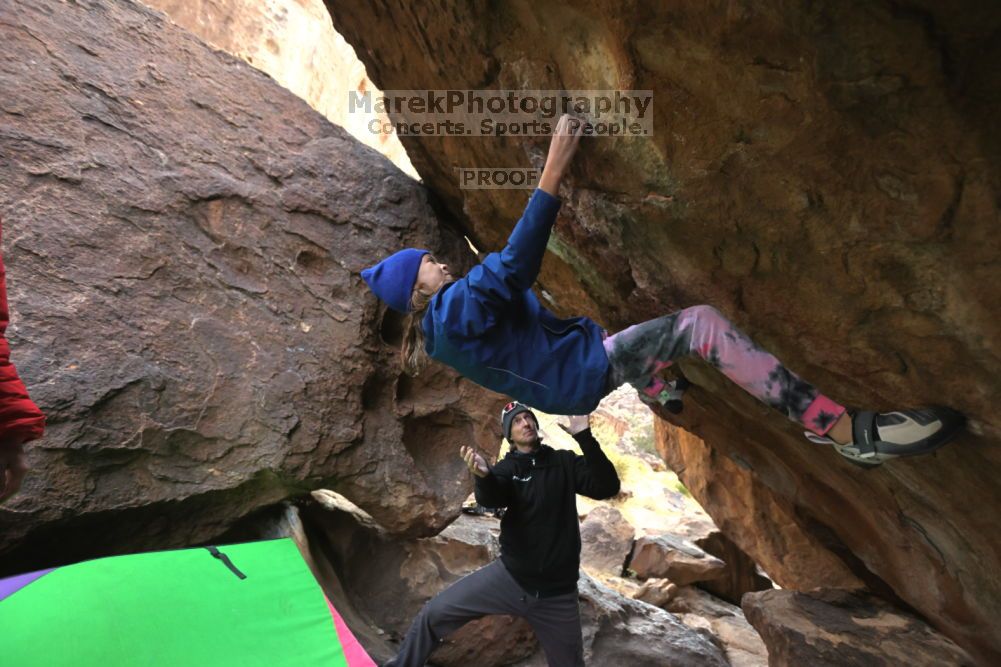 

Filename: SRM_20211210_1530330.jpg
Aperture: f/4.0
Shutter Speed: 1/500
Body: Canon EOS R6
Lens: Canon EF 16-35mm f/2.8 L