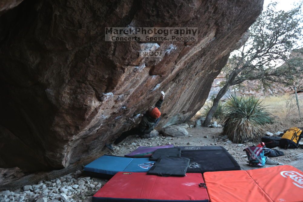 

Filename: SRM_20211210_1631370.jpg
Aperture: f/4.0
Shutter Speed: 1/500
Body: Canon EOS R6
Lens: Canon EF 16-35mm f/2.8 L