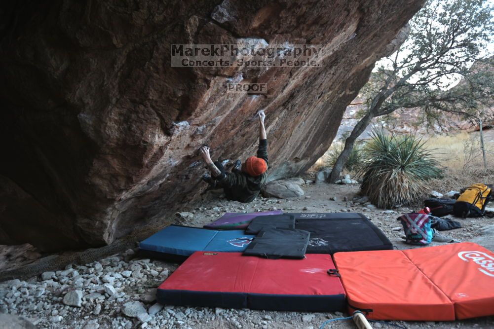 

Filename: SRM_20211210_1631420.jpg
Aperture: f/4.0
Shutter Speed: 1/500
Body: Canon EOS R6
Lens: Canon EF 16-35mm f/2.8 L