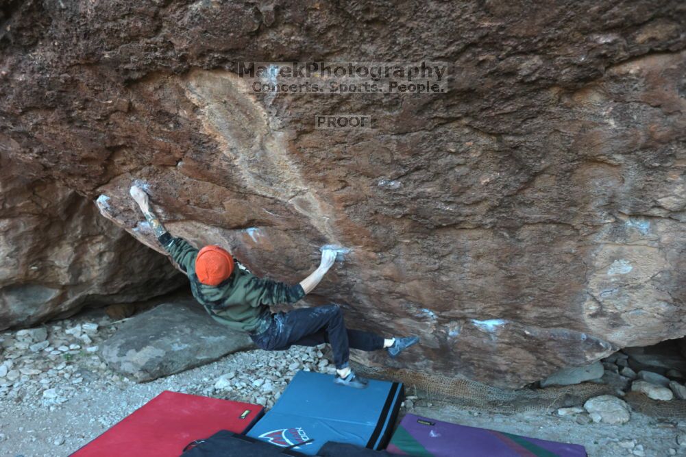 

Filename: SRM_20211210_1633510.jpg
Aperture: f/4.0
Shutter Speed: 1/500
Body: Canon EOS R6
Lens: Canon EF 16-35mm f/2.8 L