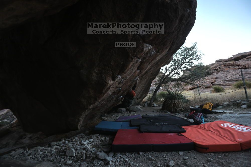 

Filename: SRM_20211210_1640570.jpg
Aperture: f/4.0
Shutter Speed: 1/500
Body: Canon EOS R6
Lens: Canon EF 16-35mm f/2.8 L