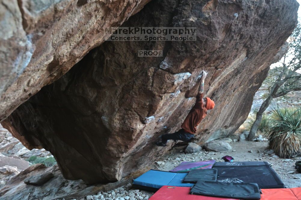 

Filename: SRM_20211210_1646010.jpg
Aperture: f/4.0
Shutter Speed: 1/500
Body: Canon EOS R6
Lens: Canon EF 16-35mm f/2.8 L