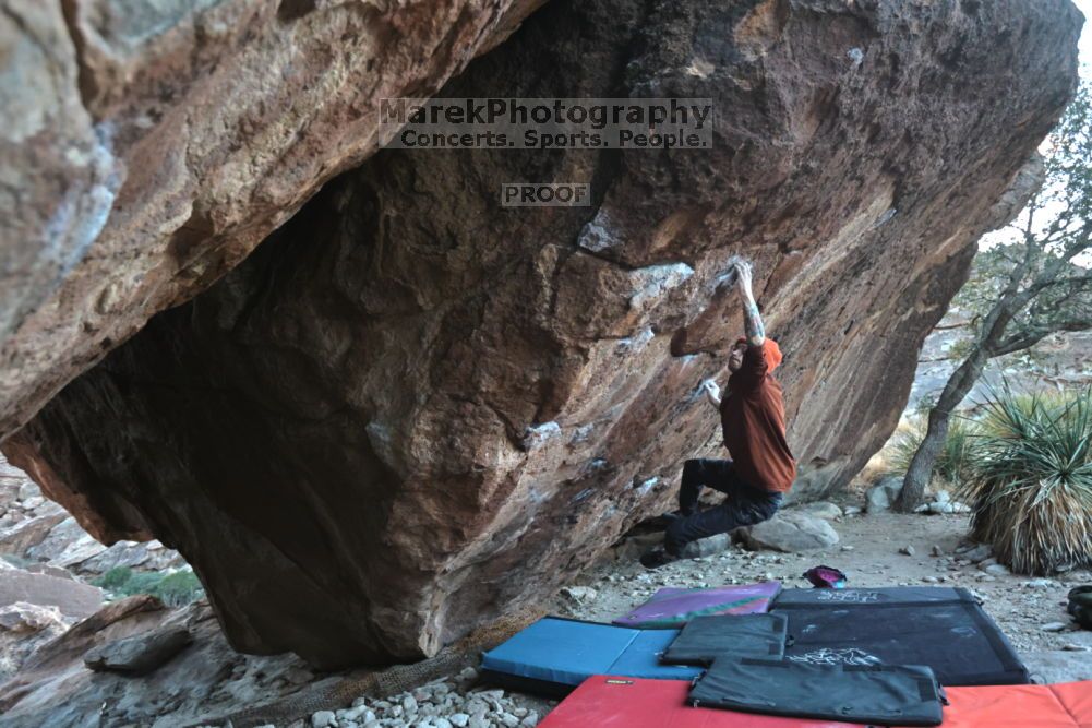 

Filename: SRM_20211210_1646012.jpg
Aperture: f/4.0
Shutter Speed: 1/500
Body: Canon EOS R6
Lens: Canon EF 16-35mm f/2.8 L