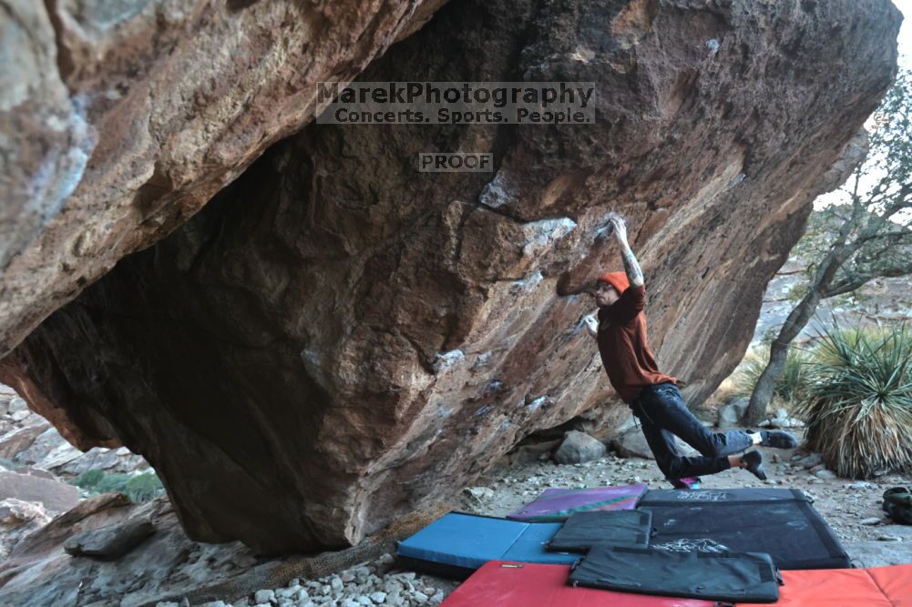 

Filename: SRM_20211210_1646021.jpg
Aperture: f/4.0
Shutter Speed: 1/500
Body: Canon EOS R6
Lens: Canon EF 16-35mm f/2.8 L